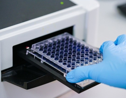 serology